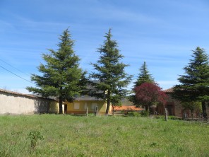 Jardín